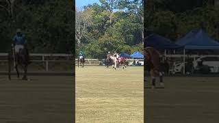 My first Polo Match South Carolina [upl. by Nereids900]