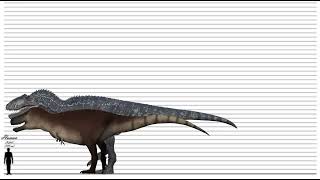 Giganotosaurus vs zhuchengtyrannus Size comparison [upl. by Martinez134]