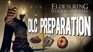 How fast can I prepare for the Elden Ring DLC [upl. by Zetroc]