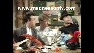 Madness  Appearance UK TV 170384 [upl. by Darees573]