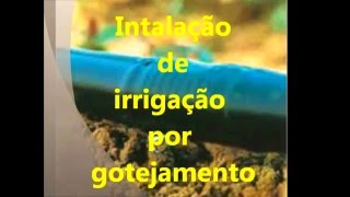 irrigação localizadagotejamento Como montar uma irrigação por gotejamentolocalizada [upl. by Og]