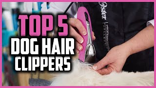 ✅Top 5 Best dog hair clippers in 2024 [upl. by Kuo]