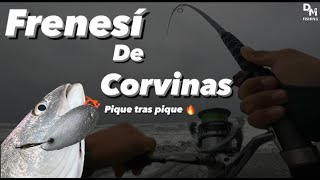 PESCA DE CORVINAS CON CHISPA Dimos con el CARDUMEN [upl. by Sprung]