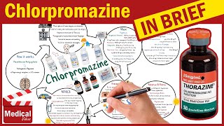 Chlorpromazine Hydrochloride  Thorazine  What is Chlorpromazine Uses Dosage amp Side Effects [upl. by Namolos]