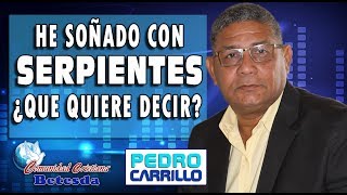 N° 088 quotHE SOÑADO CON SERPIENTES ¿QUÉ QUIERE DECIRquot Pastor Pedro Carrillo [upl. by Adnilreh]