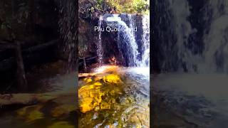 Phu Quoc island Vietnam National Park travel country nature traveling foryou shorts fyp 4k [upl. by Arihaz281]