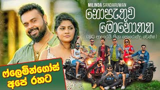 NOPATHUWA MOHOTHAKA Iනොපැතුව මොහොතක I MILINDA SANDARUWAN FLAMINGOES 2024 I flamingoes [upl. by Krefetz352]