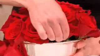 How to Make a Rose Centerpiece Floral Arrangement [upl. by Trometer57]