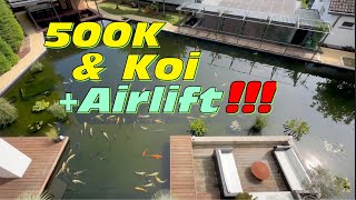 Martin‘s 500000 Liter Koi Teich mit über 500 Koi betrieben mit Lufthebern und Zysternen [upl. by Thier716]