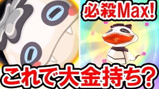 【妖怪ウォッチぷにぷに】ツチノコパンダで大金持ち？必殺技レベルMaxでYマネーアップの効果を検証！フクリュウも加えて究極の重ねがけを試してみた！妖怪ウォッチぷにぷにの実況プレイ攻略動画 [upl. by Hoebart]