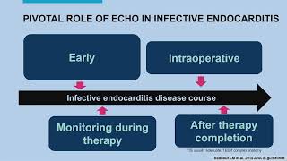 INFECTIVE ENDOCARDITISMAYO CLINIC [upl. by Arima]