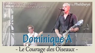 Dominique A  Le Courage des Oiseaux FNAC Live Paris  17 juil 2015 [upl. by Zwiebel]