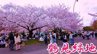 【大阪】日曜日で大賑わいの鶴見緑地を散歩 Osaka Tsurumiryokuchi on Sunday 4K [upl. by O'Connell]