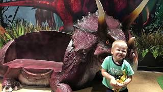 Pangaea Land of the Dinosaurs in Scottsdale  Phoenix With Kids [upl. by Aiveneg]