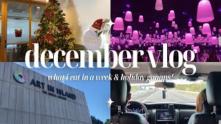 December vlog ✨ art in island what i eat in a week amp holiday ganaps 🎁🎀🎄 [upl. by Faustena]