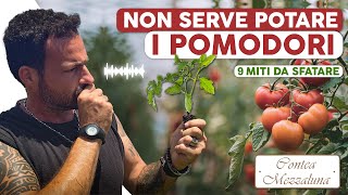 Coltivare Pomodori 9 Miti da Sfatare [upl. by Nielsen]