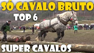 Os Cavalos mais fortes do mundo  Competição BRUTA TOP 6 [upl. by Wiese93]