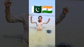 Oh desh mere  song desh bhakti india vs Pakistan America 🇮🇳🇵🇰 🇺🇲indianarmy armystatus tiktok [upl. by Divd774]