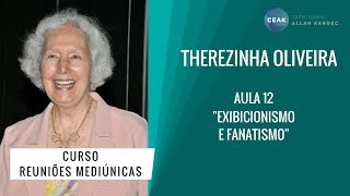 THEREZINHA OLIVEIRA  REUNIÕES MEDIÚNICAS  AULA 12  quotANIMISMO NA PRÁTICA MEDIÚNICAquot [upl. by Haelhsa]