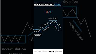 WYCKOFF Market Cycle [upl. by Ahsemo]