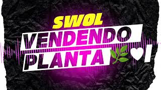 Vendendo planta funk oquefaltaemvocesoueu musica [upl. by Ansaev479]