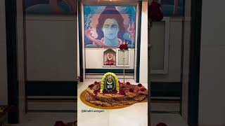 Om Tryambakam Yajamahe  Mahamrityunjay Mantra  like share mahadev shiv youtube shorts [upl. by Nawd]