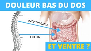 Douleur bas du dos et ventre  quel lien existetil [upl. by Nevs]