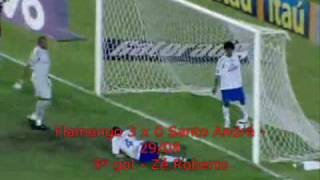 Todos os gols do Flamengo no Brasileirão 2009 Parte 12 [upl. by Johnston]