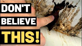 THE TRUTH ABOUT WOOD ROT You need to watch this [upl. by Donetta]