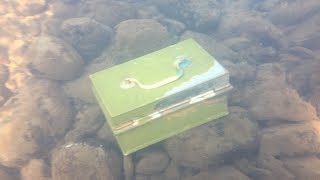 found money safe box diving underwater in river [upl. by Nlycaj99]