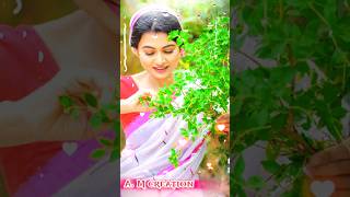 Sonamoni new adivasi baganiya song 2024 adivaasisongsong jhumursongs 2024 adivasi jhumur video [upl. by Rehpotsirc350]