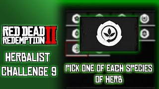 RDR2 Herbalist Challenge 9 Pick One of Each Species of Herb [upl. by Ilyah]