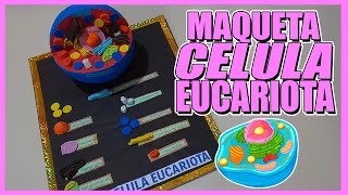 Como Hacer Una Maqueta De la Célula Eucariota 🔬 [upl. by Darelle]