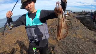 Squid fishing La Perouse Sydney Australia 🇦🇺 [upl. by Appledorf508]