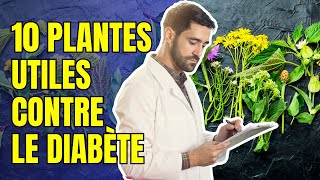 Plantes Pour Le Diabète Top 10 [upl. by Areehs]