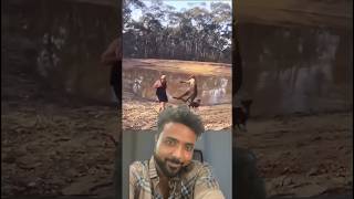 Kangaroo fight duet funny reaction wildlife fighting AnimalHT2721 ShadowFightGames [upl. by Raeann445]