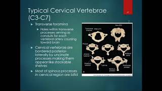 Chapter 8 Lecture Part 2 Osteology of Vertebrae [upl. by Okimuy]