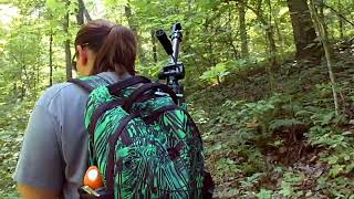 Hawksbill CragWhitaker Point Hike  July 24th 2024 [upl. by Goth43]