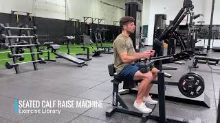 Seated Calf Raise Machine [upl. by Nylannej]