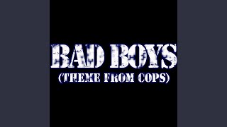 Bad Boys Theme from Cops [upl. by Annavaj1]