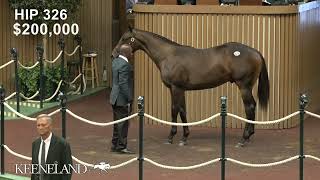 Hip 326 Maxfield  Belle’s Finale sells for 1 million at 2024 Keeneland September [upl. by Esiouqrut152]