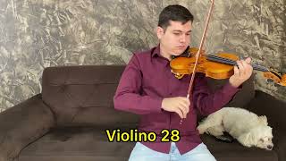 Violino Guarnerius Cannone 28 VENDIDO [upl. by Esertap579]