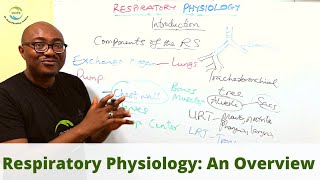 Introduction to Respiratory Physiology [upl. by Enailuj]