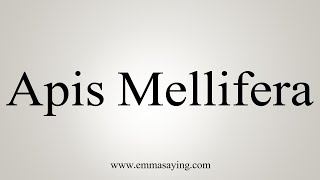 How To Say Apis Mellifera [upl. by Rosana]