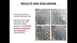 EVALUATION OF OXAZINES AS A POTENTIAL TREATMENT FOR GONORRHEA [upl. by Hump]