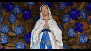 La storia delle apparizioni della Madonna a Lourdes [upl. by Melli]