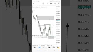 SCALPING en VIVO NZDUSD trading oro forex scalping futuros acciones smartmoney tradingforex [upl. by Ayekam471]