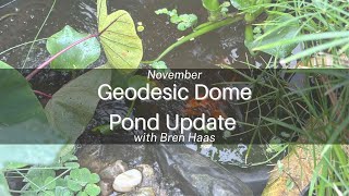 Geodesic Bio Dome Pond Update  November [upl. by Kartis710]