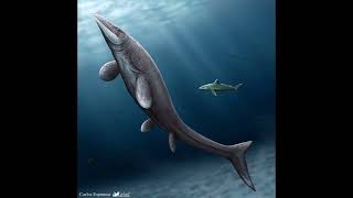 NEW Species of Mosasaur Hainosaurus boubker Discovered [upl. by Assenay123]