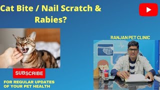 Cat bite  nail scratch amp RabiesDo u need to worry pls like share and comment [upl. by Debbi331]